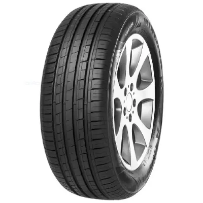 MINERVA F209 225/55 R16 99W