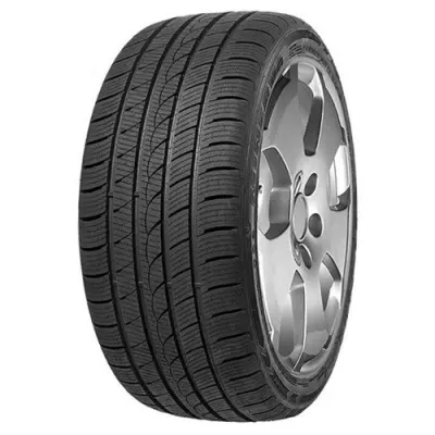 MINERVA S220 255/50 R19 107V
